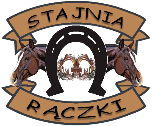 www.stajniaraczki.pl